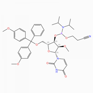 C40H49N4O9P Uridina, 5′ -O- [bis(4-metossifenil)fenilmetil]-2′ -O-metil-, 3′ – [2-cianoetil N,N-bis(1-metiletil)fosforamidito] (ACI)