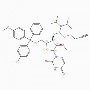 C40H49N4O9P Uridin, 5'-O- [bis(4-metoxifenyl)fenylmetyl]-2'-O-metyl-, 3' – [2-cyanoetyl N,N-bis(1-metyletyl)fosforamidit] (ACI)