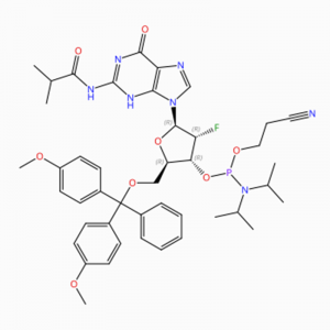 C44H53FN7O8 Guanosina, 5′ -O- [bis(4-metoxifenil)fenilmetil]-2′ -desoxi-2′ – fluoro-N-(2-metil-1-oxopropil)-, 3′ – [2-zianoetil N, N-bis(1-metiletil)fosforamidita] (ACI)