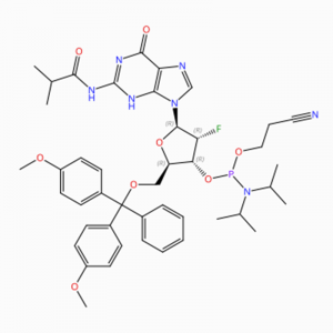 C44H53FN7O8 Guanosine, 5′ -O- [bis(4-methoxyphenyl)phenylmethyl]-2′ -deoxy-2′ – fluoro-N-(2-methyl-1-oxopropyl)-, 3′ – [2-cyanoethyl N,N-bis(1-methyl ethyl)phosphoramidite] (ACI)