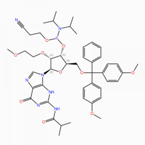 C47H60N7O10P Guanosine, 5′ -O-[bis(4-méthoxyphényl)phénylméthyl]-2′ -O-(2- méthoxyéthyl)-N-(2-méthyl-1-oxopropyl)-, 3′ – [2-cyanoéthyl N ,N-bis (1-méthyléthyl)phosphoramidite] (ACI)