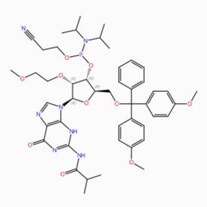 C47H60N7O10P Guanosine, 5′ -O- [bis(4-methoxyphenyl)phenylmethyl]-2′ -O-(2- methoxyethyl)-N-(2-methyl-1-oxopropyl)-, 3′ – [2-cyanoethyl N ,N-bis (1-methylethyl)phosphoramidite] (ACI)